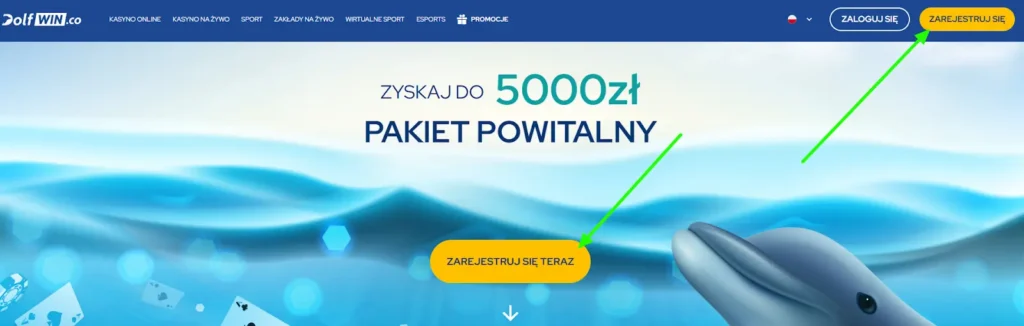 dolfwin casino główna